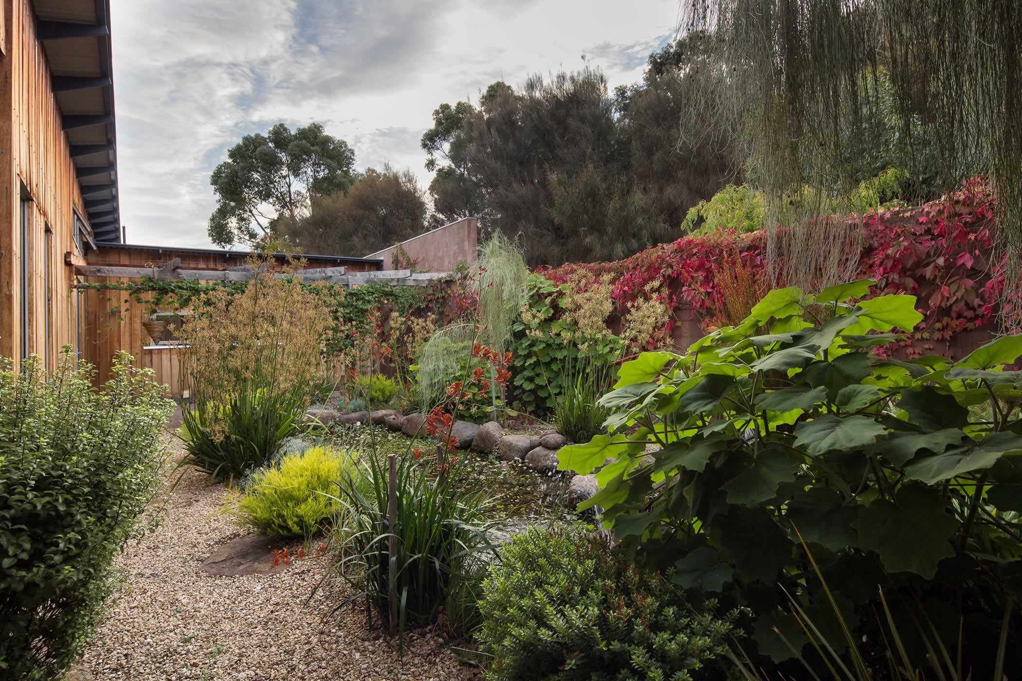 Manuka Road Courtyard Garden, Kettering, Tasmania: Cutting into the slope to create a courtyard enabled a thermally comfortable home on the level with living areas open to a sheltered, intimate space and micro-climate on the north. Photo by Thomas Ryan.