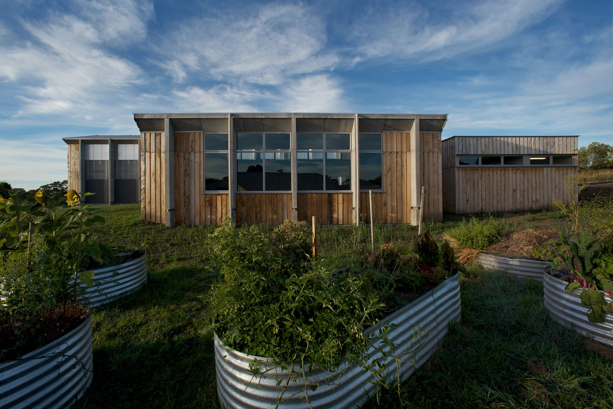 Tarremah School Hall, Kingston, Tasmania: The music room and student amenities clad in Macrocarpa vertical boards, create an intermediary, transitional scale between the existing primary school buildings and the large scale hall. Photo by Ray Joyce.